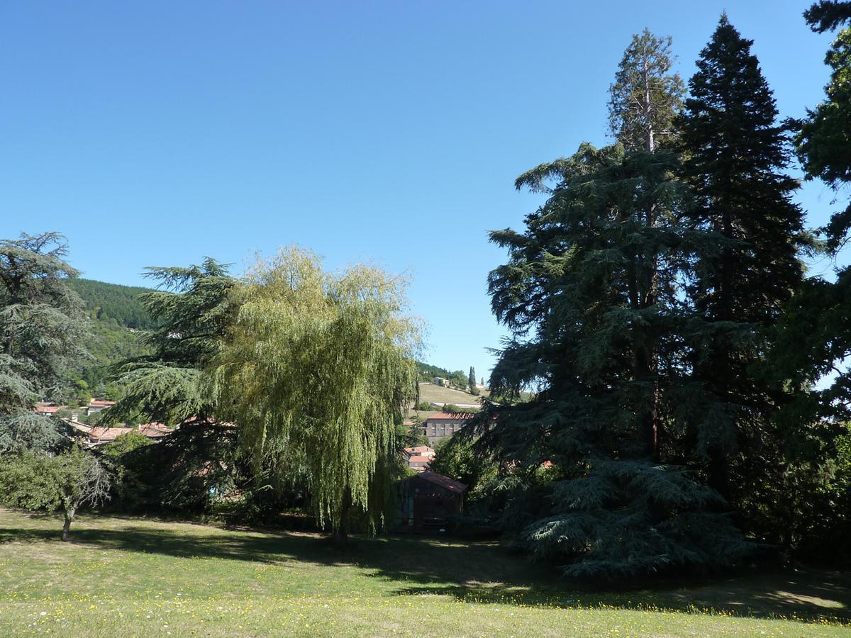 Les Chalets Du Domaine Des Soyeux Saint-Julien-Molin-Molette Экстерьер фото